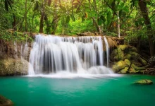 دانلود صدای طبیعت 🌿✨ آرامش واقعی را با دانلود صدای طبیعت تجربه کنید