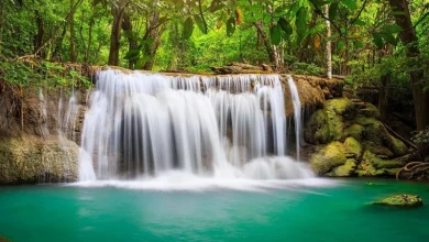 دانلود صدای طبیعت 🌿✨ آرامش واقعی را با دانلود صدای طبیعت تجربه کنید