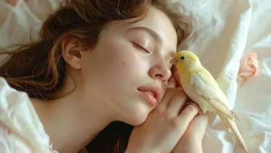 دانلود صدای قناری برای آرامش و خواب راحت